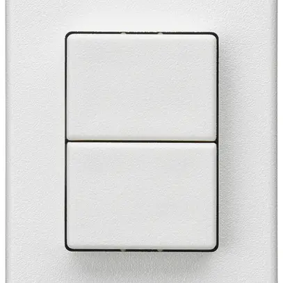 Poussoir double INC Hager FLF 10A/250V 0/1L blanc 