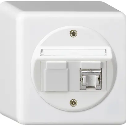 Boîte de raccordement AP basico cat.6 1RJ45/s blanc 