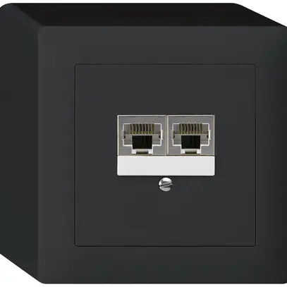 AP-Dose kallysto 2×RJ45s getrennt schwarz 