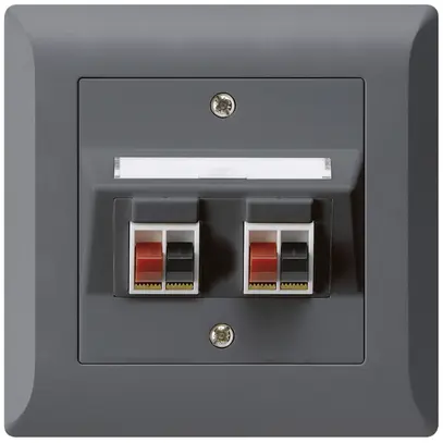 Prise ENC audio kallysto.line 2× anthracite borne à étrier pour 2 haut-parleurs 