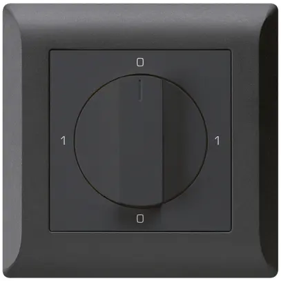 Interrupteur rotatif ENC kallysto.line 0/1L noir avec manette 