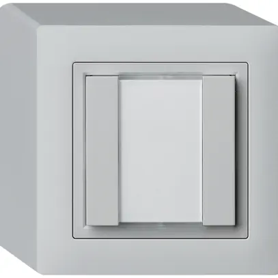Poussoir universel AP 2×kallysto avec LED gris clair 