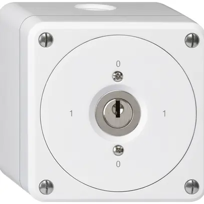 Interruttore a chiave AP robusto senza copertura 0/1P bianco 