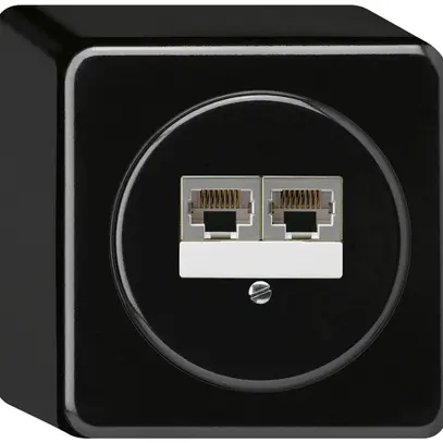 Boîte de raccordement AP basico 2×RJ45s noir parallèle 