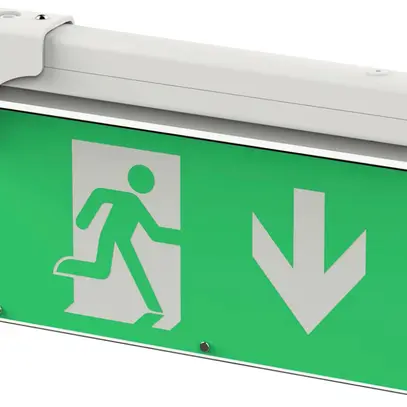 Luminaire de voie de secours LED DOTLUX EXITmulti IP20 mur/plafond 