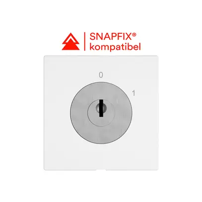 Interrupteur à clé EDIZIO.liv a.KABA 1007F/631984 interrupteur 4P 0-1 p=67mm bc 