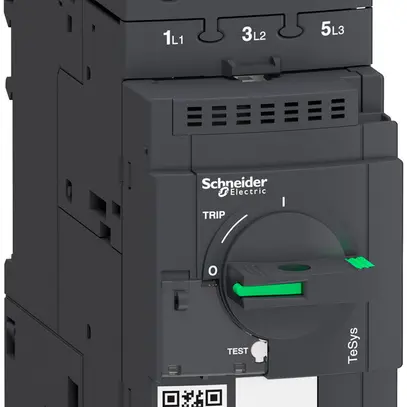 Salvamotore Schneider Electric GV3L40 40A 