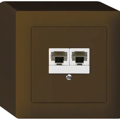 AP-Dose kallysto 2×RJ45u parallel braun 