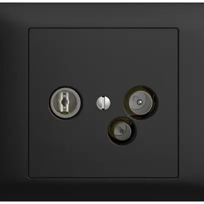 Prise de données INC TV-R DD11 5…65MHz EDIZIOdue noir 