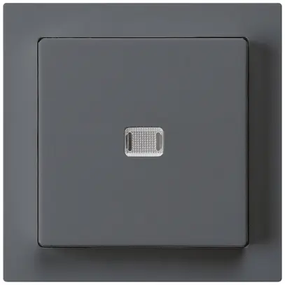 Contact à poussoir lumineux ENC kallysto AR/1P anthracite 