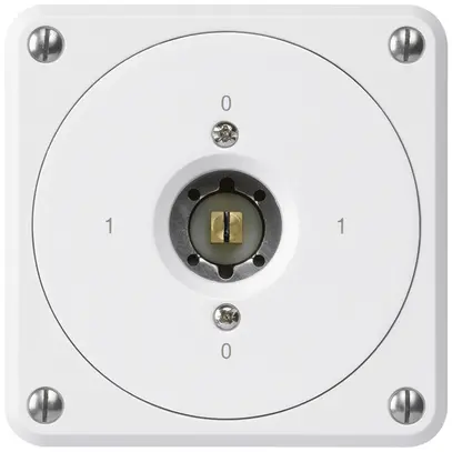 Interruttore a chiave quadrata INC robusto senza coperchio 0/3P bianco 