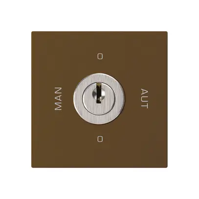 Intérieur interrupteur à clé 0-Man-0-Aut. brun kallysto 2/1P avec serrure 