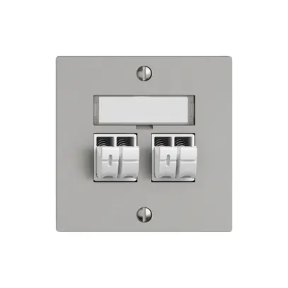 Prise audio EDIZIO.liv SNAPFIX® 2× grc 