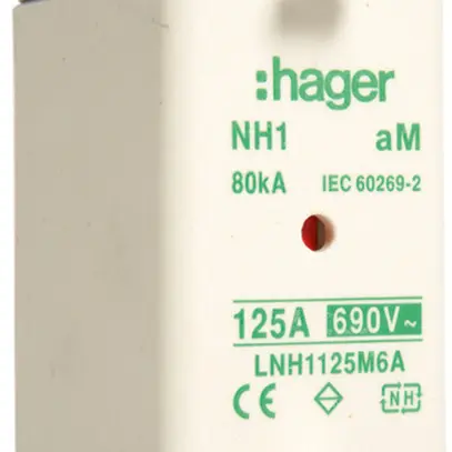 Fusible HPC Hager DIN1 690VAC 125A aM avertisseur double inoxydable 
