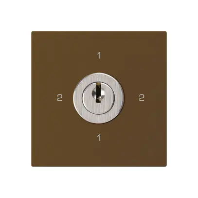 Intérieur interrupteur à clé kallysto 3/1L brun avec serrure Kaba 8 