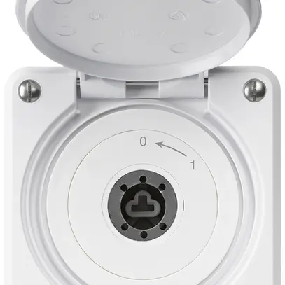 Contact pivotant à clé ENC robusto IP55 blanc avec clapet sans cylindre 1P combi 