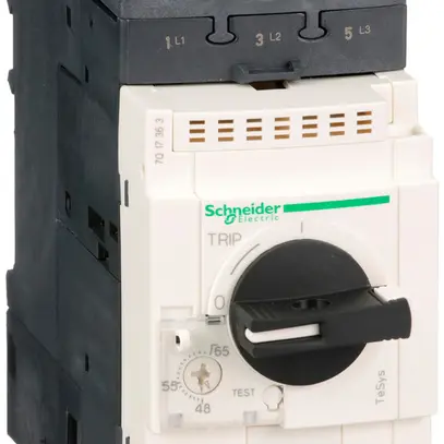 Salvamotore Schneider Electric GV3P65 48…65A 
