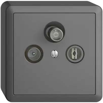 Prise d'antenne AP SAT/TV/R DB53 EDIZIOdue gris foncé avec SAT-F 