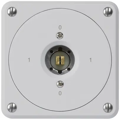 Interruttore a chiave quadrata INC robusto senza coperchio 0/1P grigio 