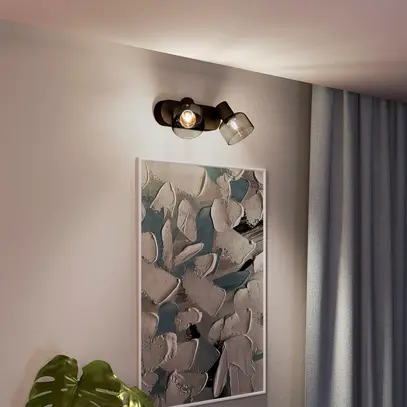 Spot Philips Sleet E14 2×25W 260×134mm noir 