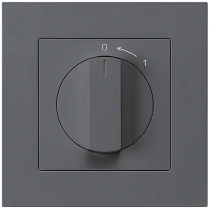 Contact pivotant ENC 0<-1/1L anthracite kallysto.pro avec manette 