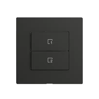 Pulsante scena 2 scene verticale/2T WLAN Edue Wiser nero 