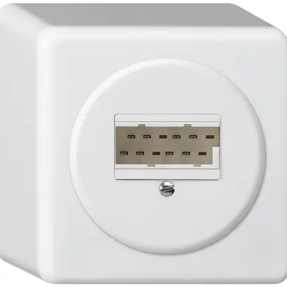 Boîte de raccordement AP basico 2×TT83 blanc 