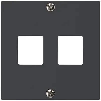 Plaque frontale HMS kallysto pour 2 modules noir 