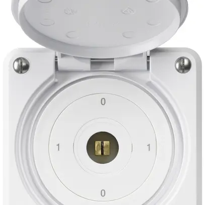UP-Steckschlüsselschalter robusto IP55 mit Klappdeckel S0/1P weiss Kombi 4-kant 