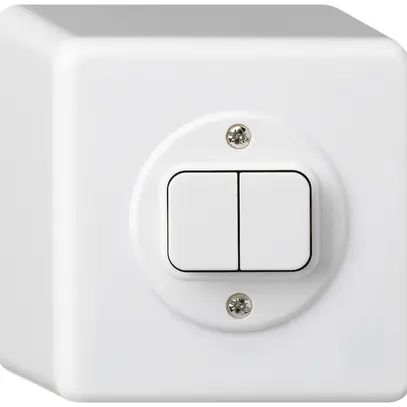 Interrupteur AP basico 3+3 blanc 