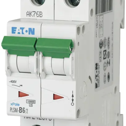 Leitungsschutzschalter PLSM-D6 2L 