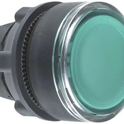 Pulsante Schneider Electric piatto verde 