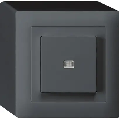 Interrupteur poussoir lumineux AP kallysto 3/2L anthracite 