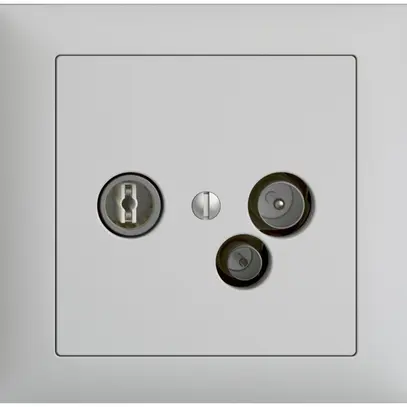 Prise de données INC TV-R DD15 5…65MHz EDIZIOdue gris clair 