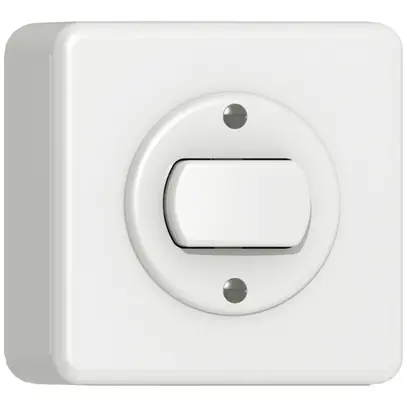 Interruttore/pulsante lum. AP CLASSIC 3/1L bianco 