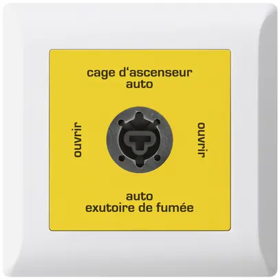 Interruttore a chiave INS kallysto.line per estrattore fumi francese bianco 