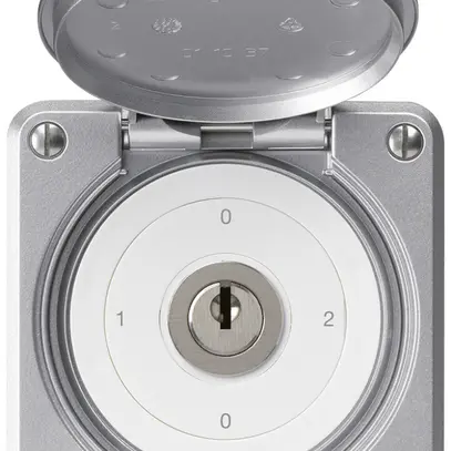 Interruttore a chiave INC robusto IP55 con copertura S2/1P alluminio 
