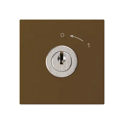 Schwenktaster 0<-1/1L braun kallysto mit Schloss Kaba 8 