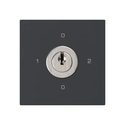 Intérieur interrupteur à clé kallysto 2/1L noir avec serrure Kaba 8 