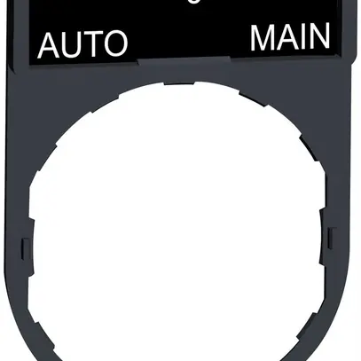 Placchetta Schneider Electric Auto-O-Main 