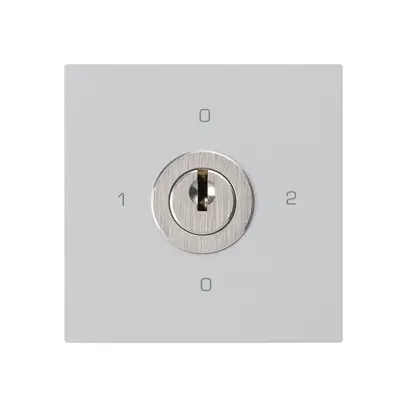 Intérieur interrupteur à clé kallysto 2/1L gris clair avec serrure Kaba 8 