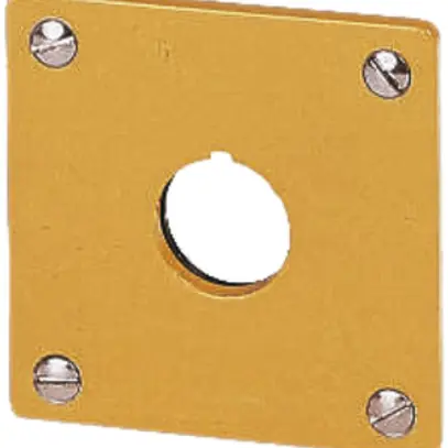 Placca di comando ETN I giallo 