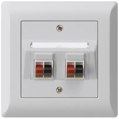 Prise ENC audio kallysto.line 2× gris clair borne à étrier pour 2 haut-parleurs 