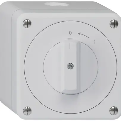 AP-Schwenktaster robusto IP55 grau 1P 