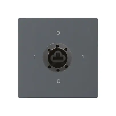 Intérieur interrupteur à clé kallysto 0/3L anthracite serrure sûreté s.cylindre 
