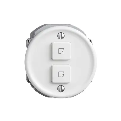 Commande pour poussoir scène 2 scènes vert./2T Sdue Wiser blanc 