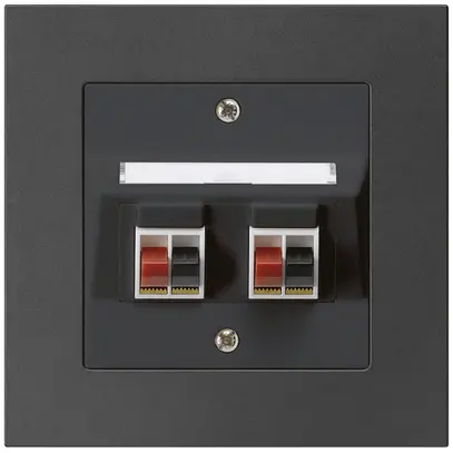 Prise ENC audio kallysto.pro 2× noir borne à étrier pour 2 haut-parleurs 