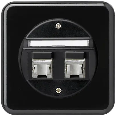 UP-Einsatz basico C Kat.6 2×RJ45/s Schrägauslass schwarz 