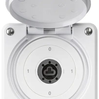 UP-Schlüsselschalter robusto IP55 Klappdeckel ohne Zylinder S0/2P weiss Kombi 
