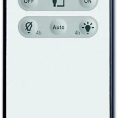Télécommande pour Busch-Wächter MasterLINE 